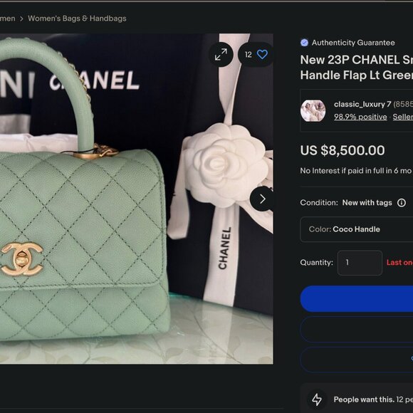 CHANEL Caviar Quilted Coco Chain Handle Flap Light Green - Picture 12 of 13